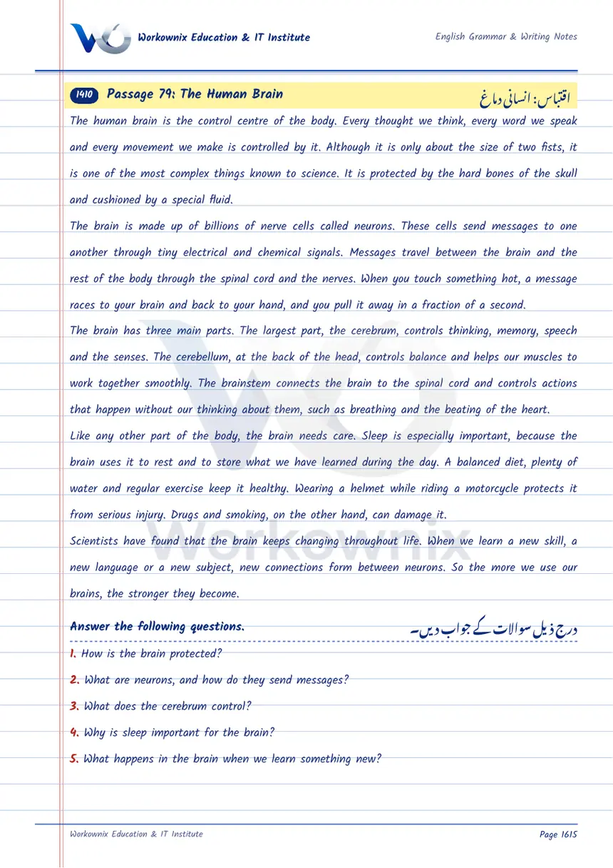 Unseen Passage: The Human Brain, page 1 of 3