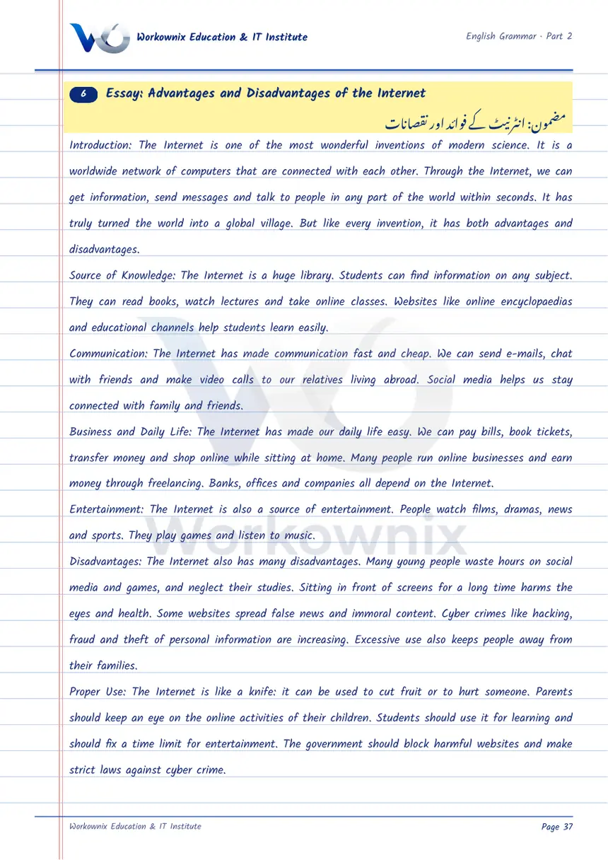 Essay on Advantages and Disadvantages of the Internet, page 1 of 2